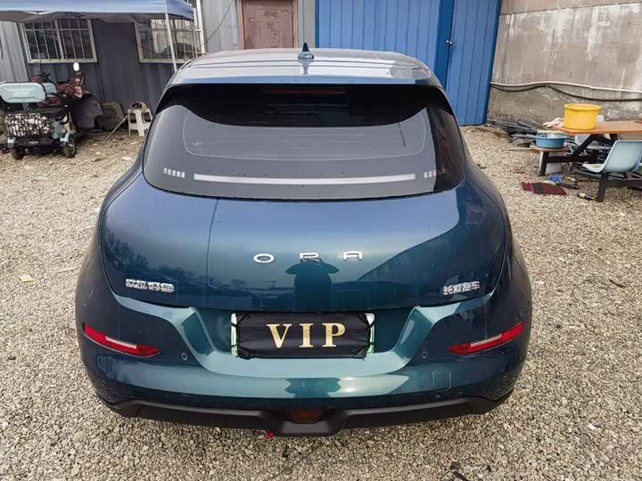 Фото 4 - Ora Good Cat (03)