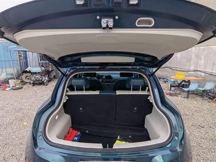 Фото 9 - Ora Good Cat (03)