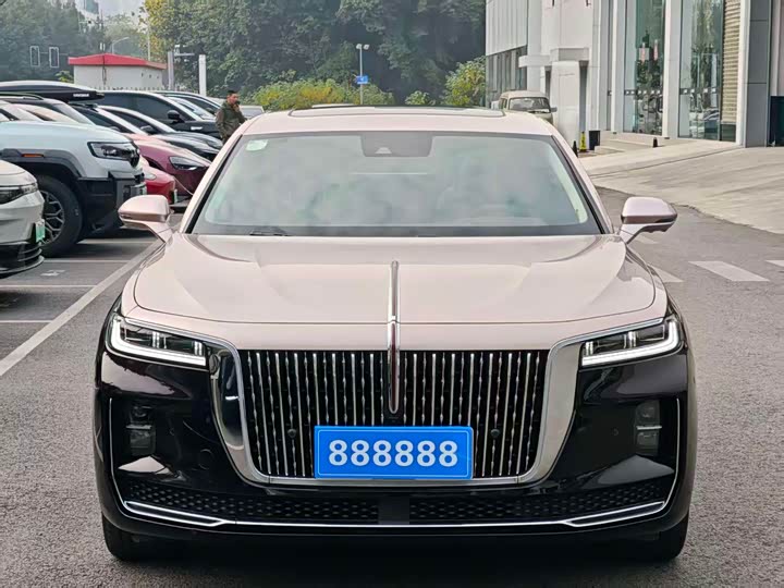 Фото 2 - Hongqi H9