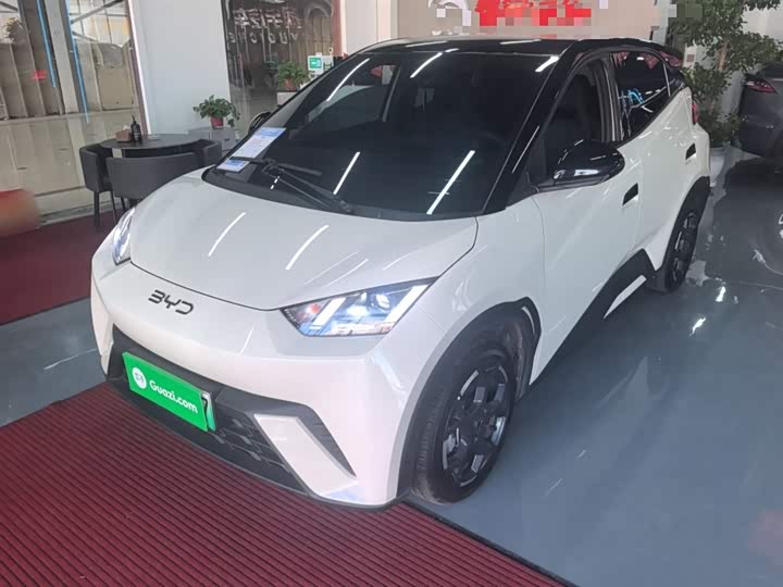 Фото 2 - BYD Seagull