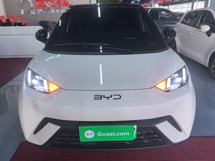 Фото 3 - BYD Seagull