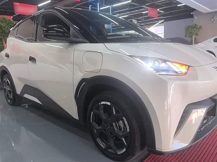 Фото 4 - BYD Seagull