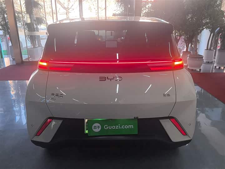 Фото 6 - BYD Seagull