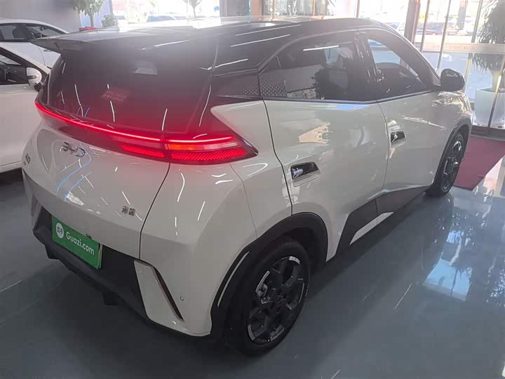 Фото 7 - BYD Seagull