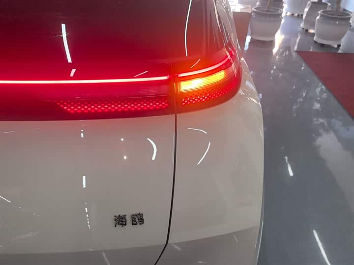 Фото 8 - BYD Seagull