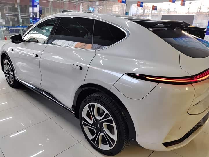 Фото 5 - IM motors LS7