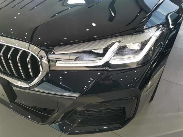 Фото 24 - BMW 5 Series Hybrid