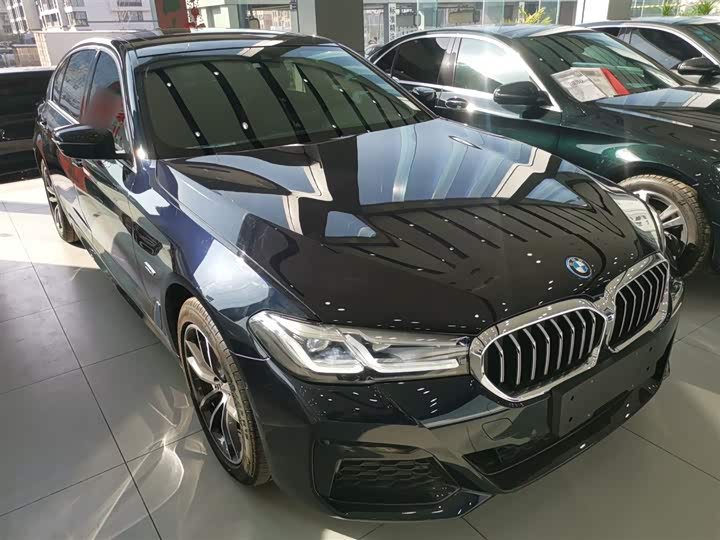 Фото 4 - BMW 5 Series Hybrid