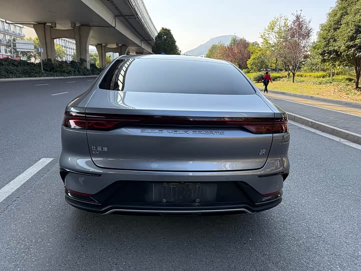 Фото 7 - BYD Han