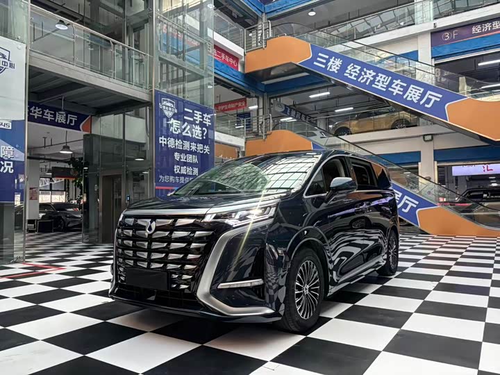 Фото 1 - Denza D9