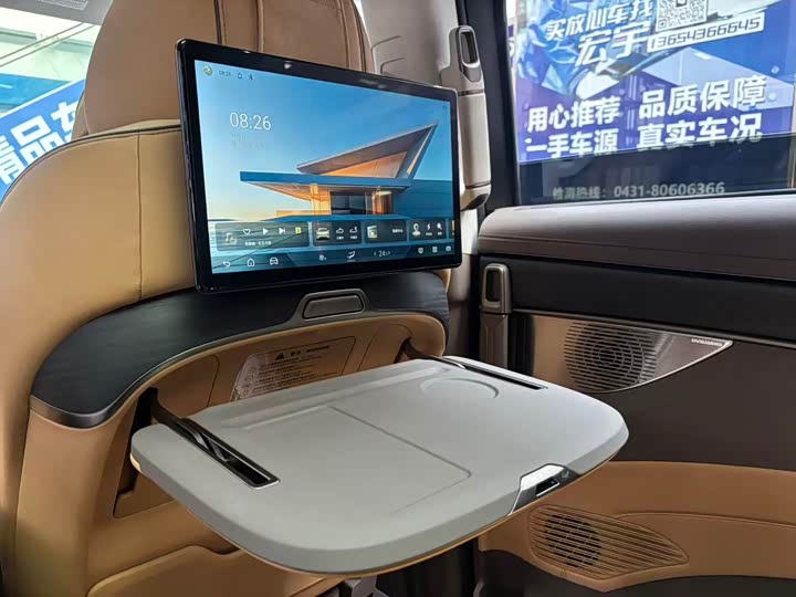 Фото 12 - Denza D9