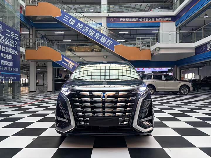 Фото 2 - Denza D9