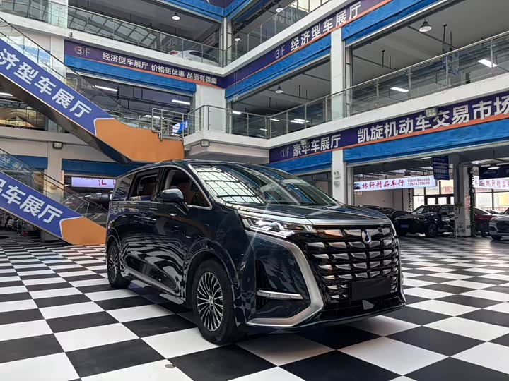 Фото 3 - Denza D9