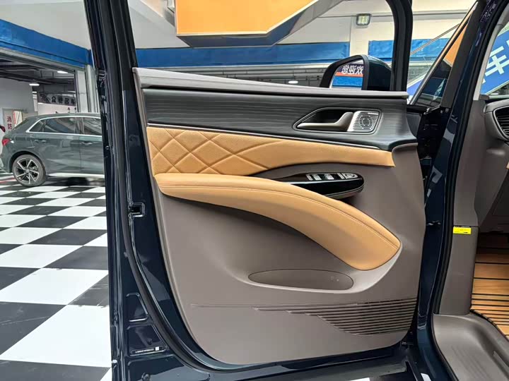 Фото 5 - Denza D9