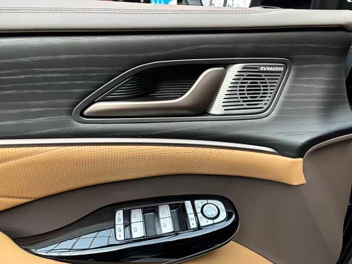 Фото 6 - Denza D9