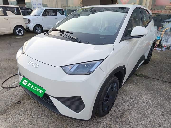 Фото 2 - BYD Seagull