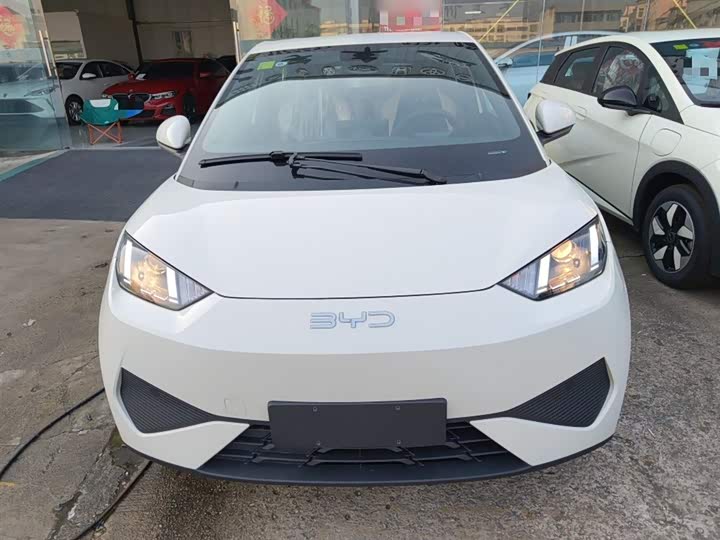 Фото 3 - BYD Seagull