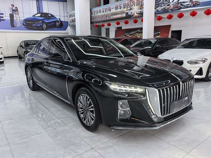Фото 3 - Hongqi H5