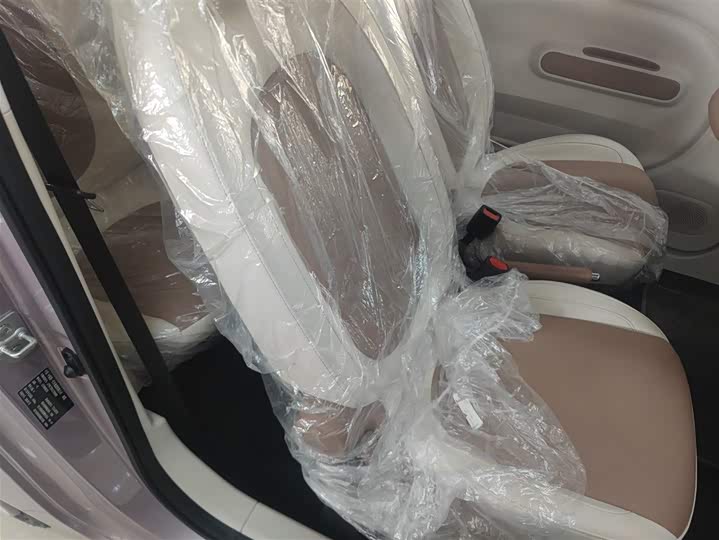 Фото 17 - Bestune Pony