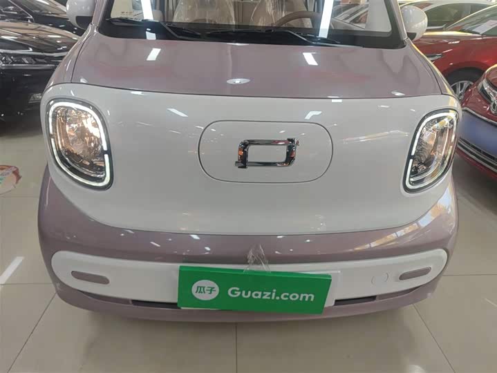 Фото 19 - Bestune Pony