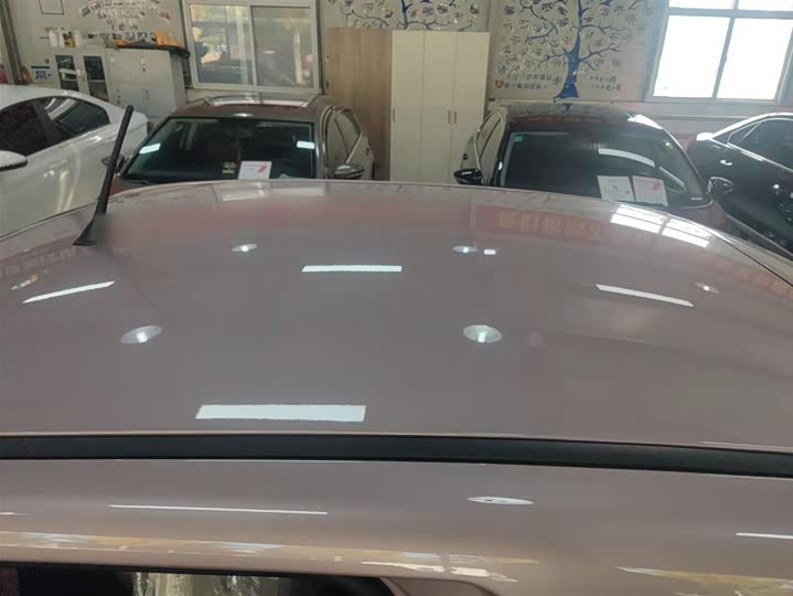 Фото 27 - Bestune Pony