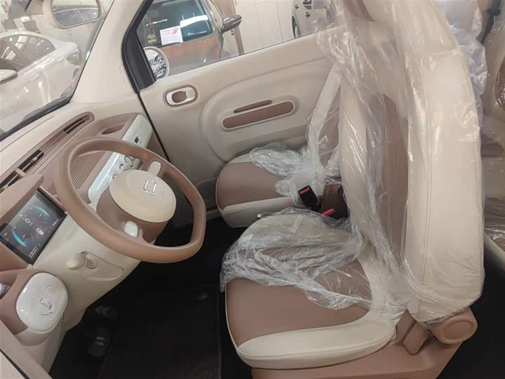 Фото 7 - Bestune Pony