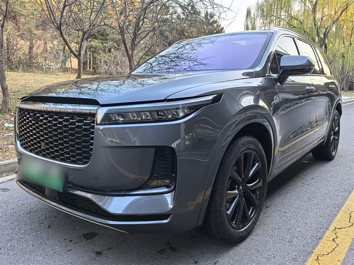 Фото 1 - LiXiang One