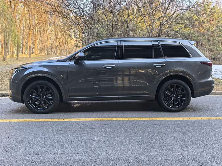 Фото 28 - LiXiang One