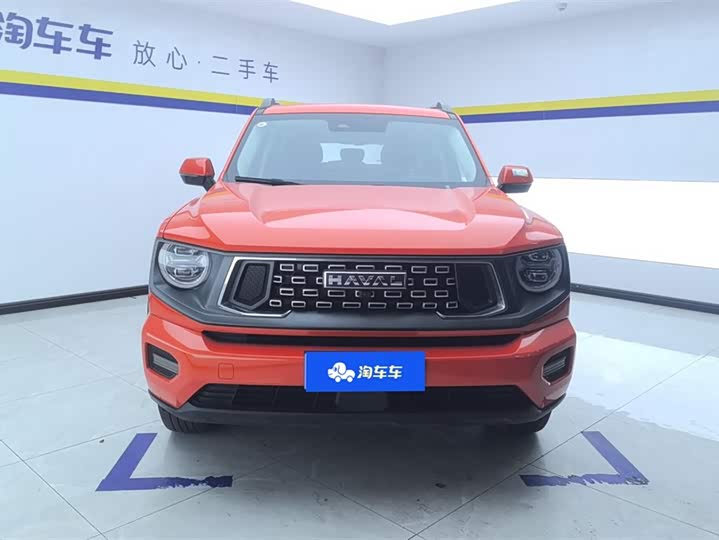 Фото 2 - Haval H-Dog