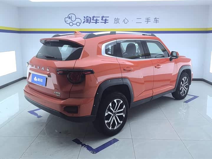 Фото 3 - Haval H-Dog