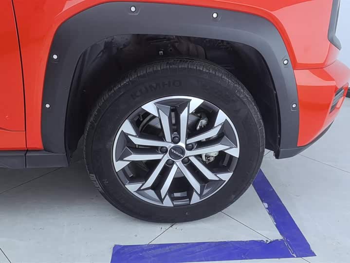 Фото 6 - Haval H-Dog