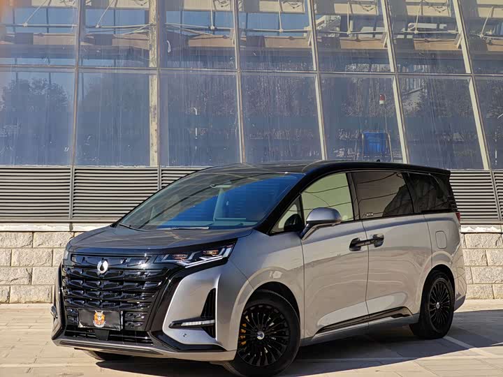 Фото 1 - Denza D9