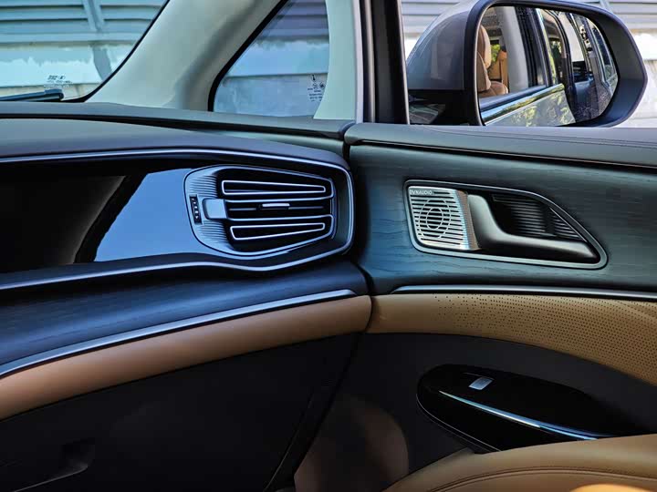 Фото 12 - Denza D9