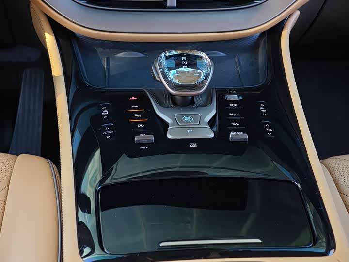 Фото 13 - Denza D9