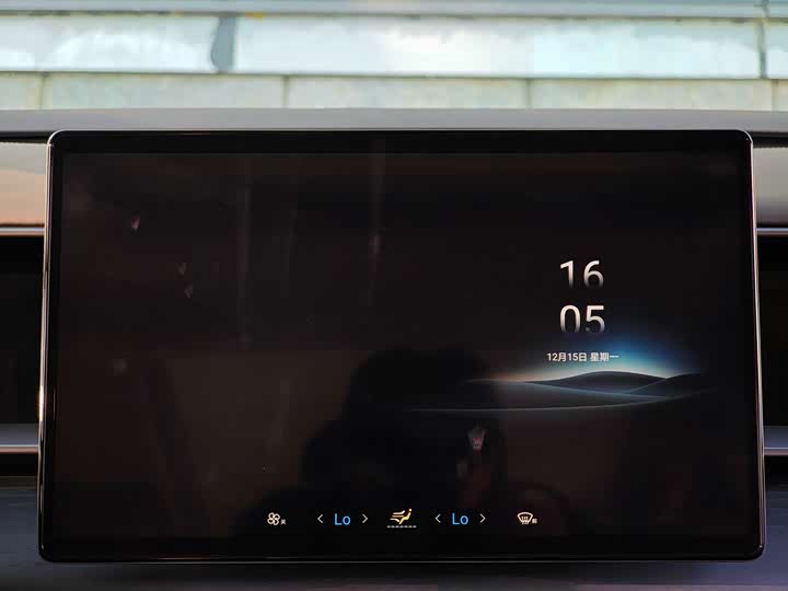 Фото 17 - Denza D9