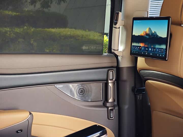 Фото 18 - Denza D9