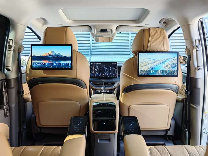 Фото 19 - Denza D9