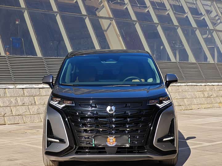 Фото 2 - Denza D9