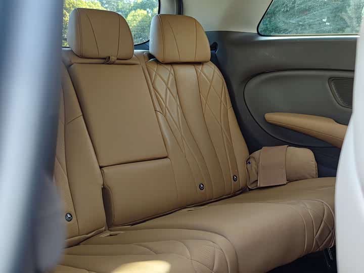 Фото 20 - Denza D9