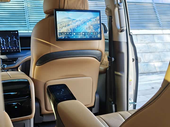 Фото 21 - Denza D9