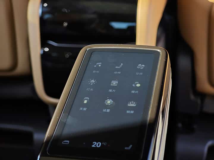 Фото 23 - Denza D9