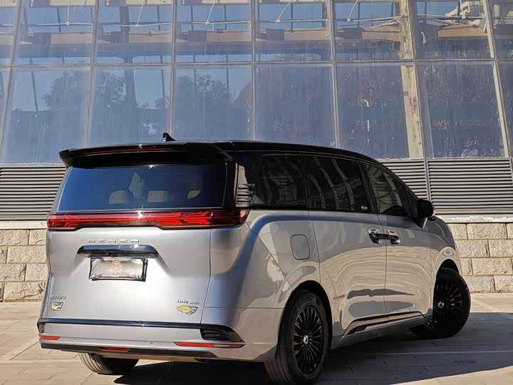 Фото 3 - Denza D9