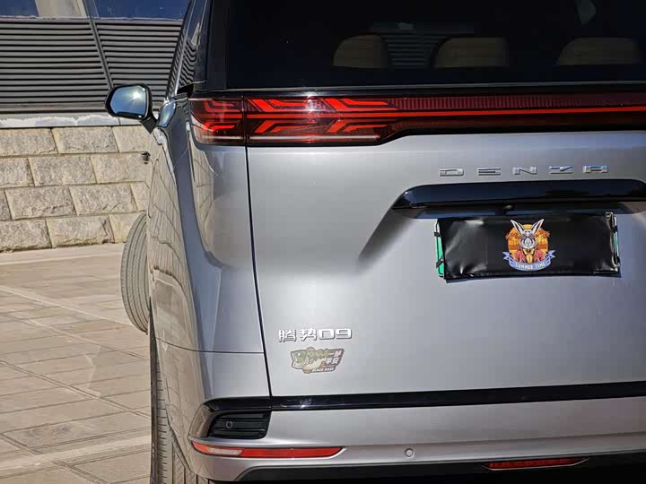 Фото 8 - Denza D9