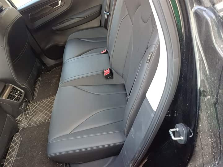 Фото 17 - Hongqi E-QM5