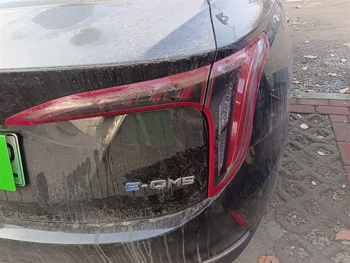 Фото 8 - Hongqi E-QM5