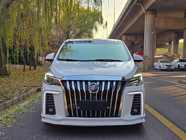 Фото 2 - Buick GL8 ES