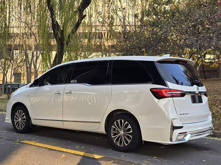 Фото 4 - Buick GL8 ES