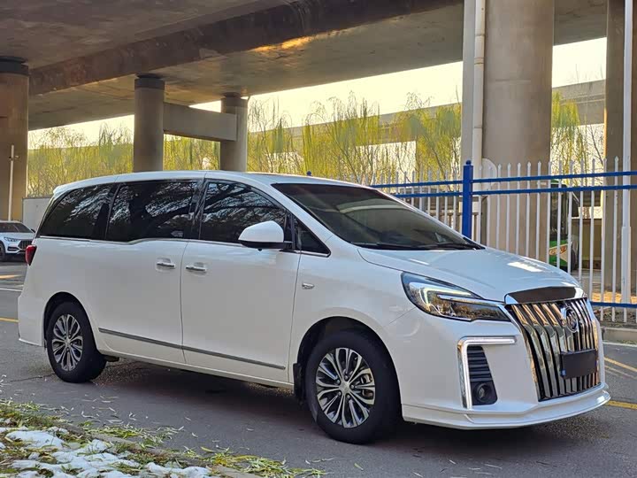 Фото 7 - Buick GL8 ES