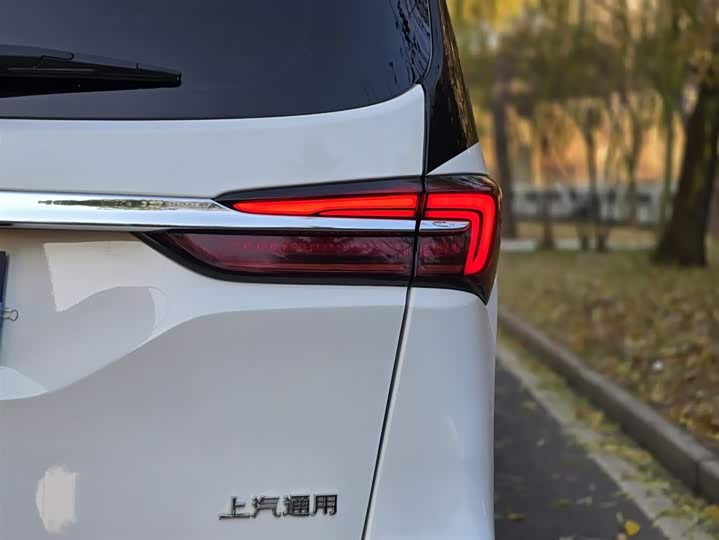 Фото 8 - Buick GL8 ES