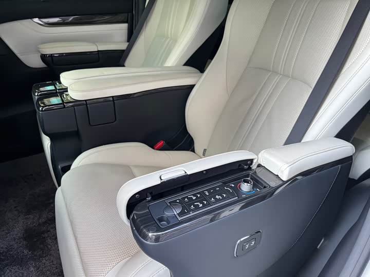 Фото 12 - Lexus LM